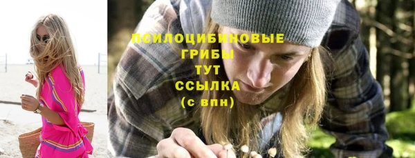 МДПВ Алексеевка