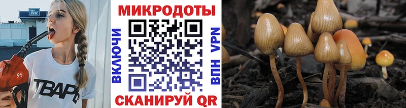 Псилоцибиновые грибы Cubensis  купить   Невьянск 